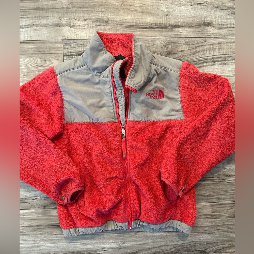 The north face Denali